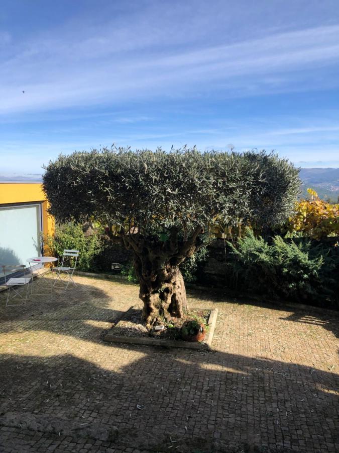 Casa De Santo Andre Villa Monção Eksteriør billede